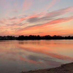 Meet your Posher, Bennett